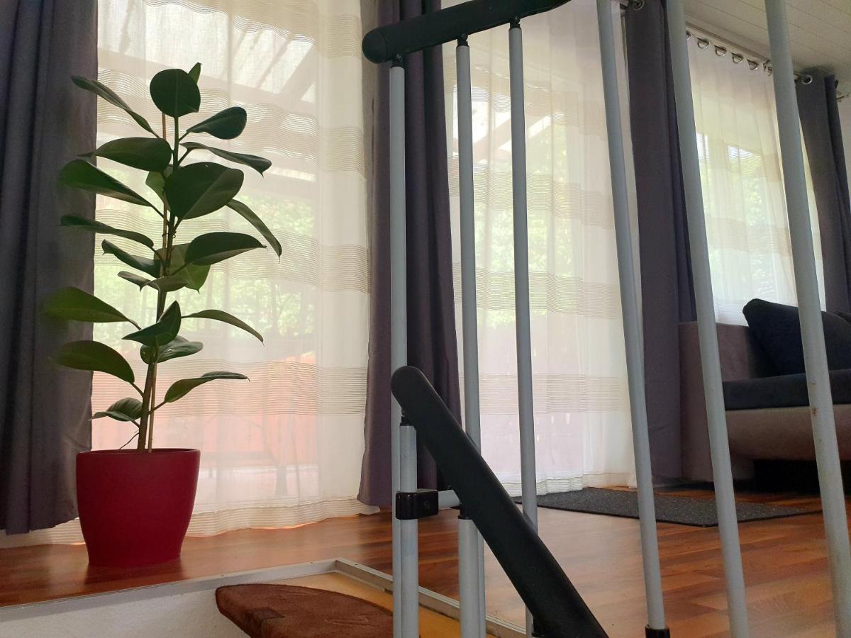 Haus Damian Apartment Traben-Trarbach Ngoại thất bức ảnh
