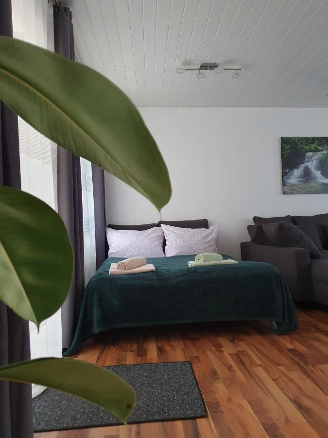 Haus Damian Apartment Traben-Trarbach Ngoại thất bức ảnh